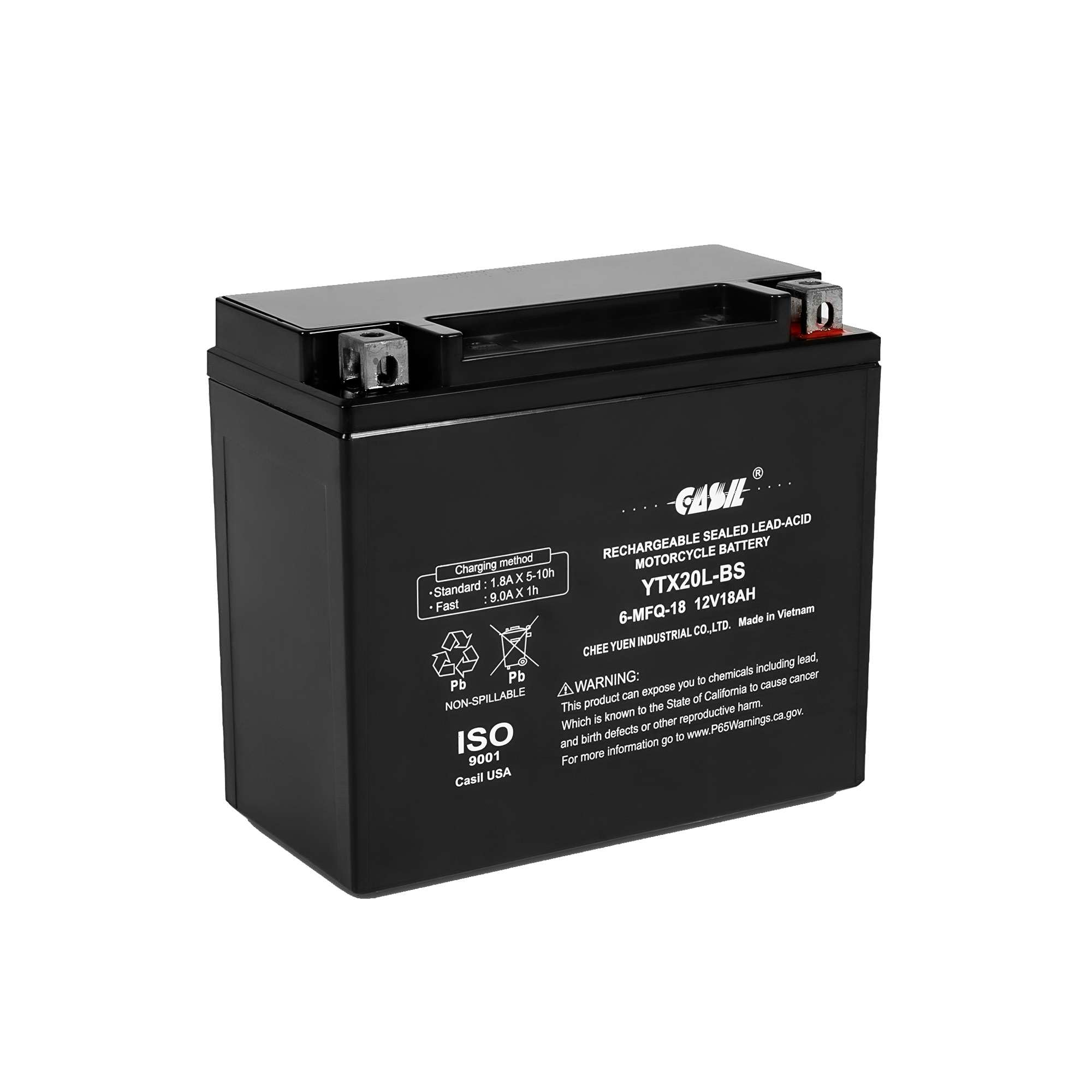 バット mtom2002 Amazon.com: YTX20-BS AGM BATTERY Replacement for KAWASAKI